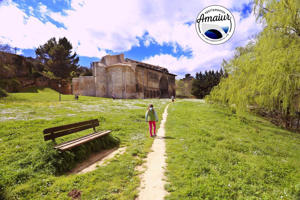 Apartamentos Amaiur Estella Exterior foto